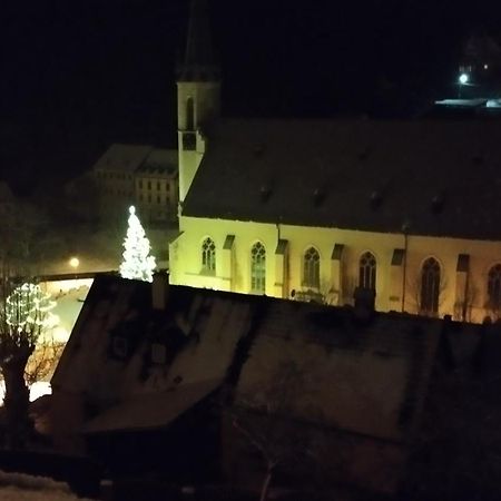 Apartman Albreit 3 Jáchymov Dış mekan fotoğraf